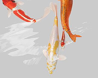 2025年3月主机全球销量估测 PS5销量或达到110万台